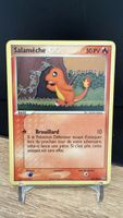 Salameche 48/108