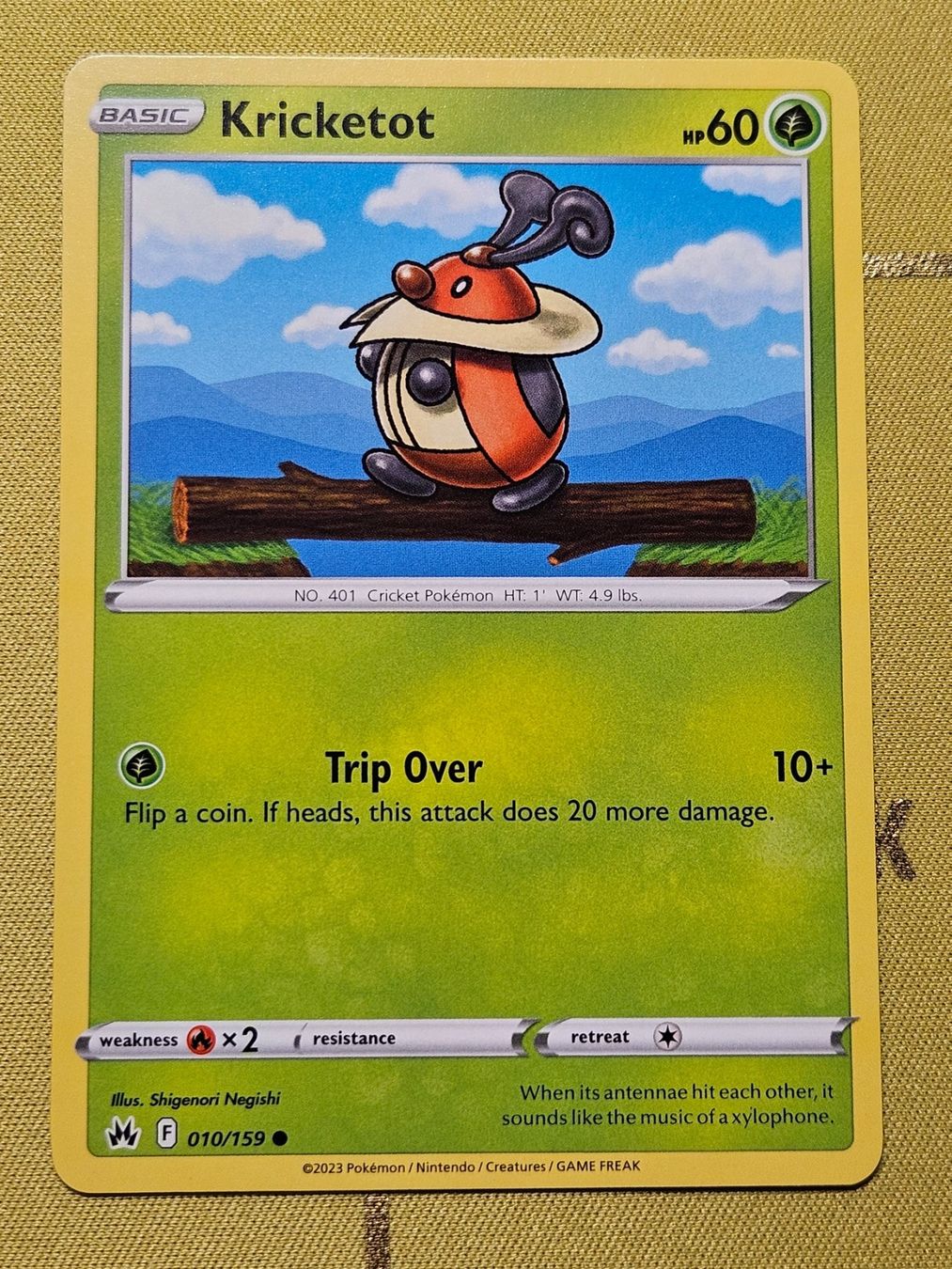Pokémon Sammelbilder & Trading cards: Crown Zenith - Kricketot 010/159 EN – Gebraucht aus Bellinzona von Pokemarco