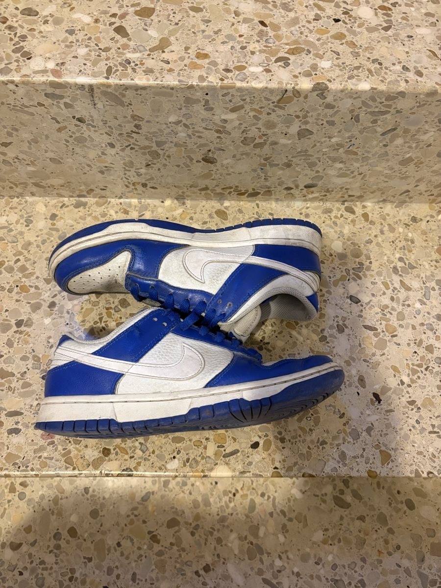 Nike Damenschuhe: Nike Dunks – Gebraucht aus Schüpfen von ani_gj8r 1