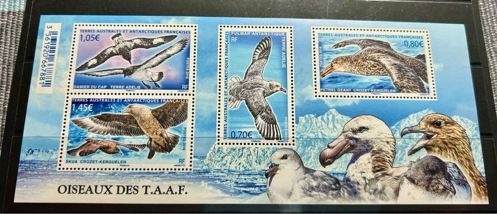 Bloc De Timbres Taaf Oiseaux Marins Kaufen Auf Ricardo