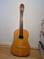 Guitare avec housse en cuire (avec cordes de rechange)