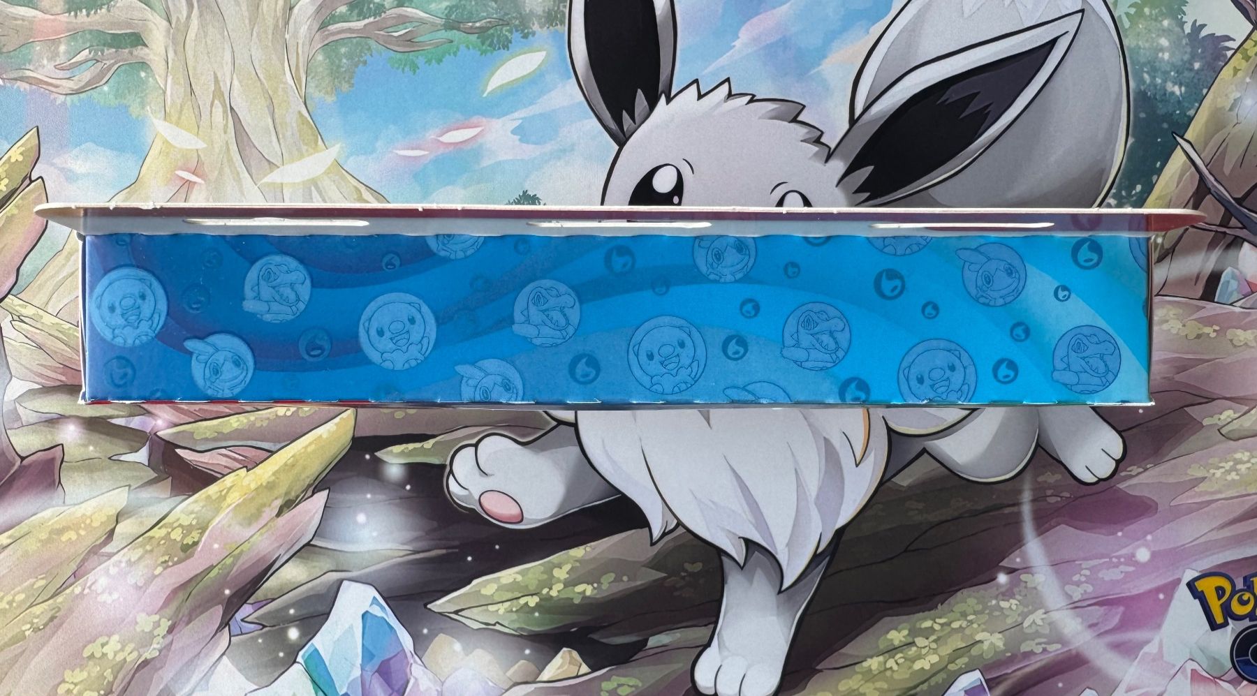 Pokémon Carte collezionabili: Pokémon First Partner Series 2 EN Sealed OVP – Nuovo e nell'imballaggio originale da Oberwil BL venduto da Chelsea26 2