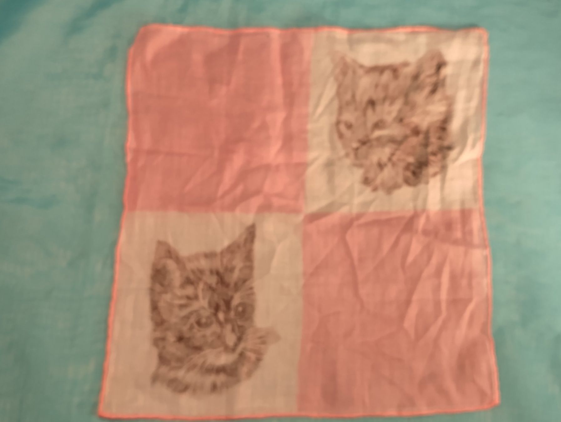 Altro in  Abbigliamento & Accessori: Taschentuch, 2 Katzen, rosa-weiss – Usato da Bellach venduto da JingleCherry 1