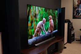 OLED 55" LG TV