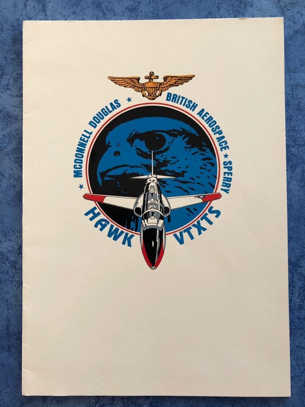 Documenti: USN HAWK VTXTS / T-45 GOSHAWK – Usato da Steffisburg venduto da bwt56
