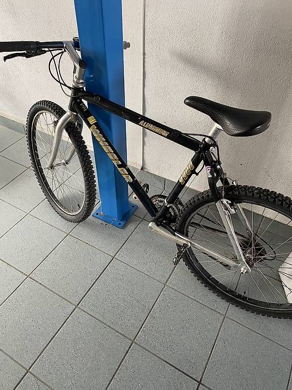 Velos: Bicicletta MTB Wheeler – Gebraucht aus Minusio von amonte