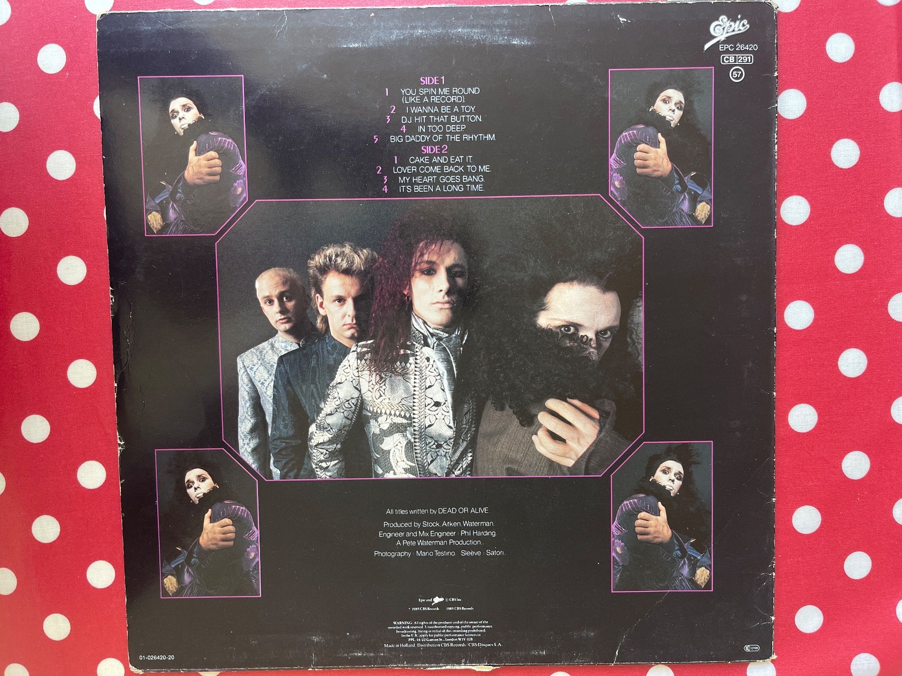 Dischi in vinile: A501/Dead Or Alive - Youthquake – Usato da Frutigen venduto da Philippe_jsp 1