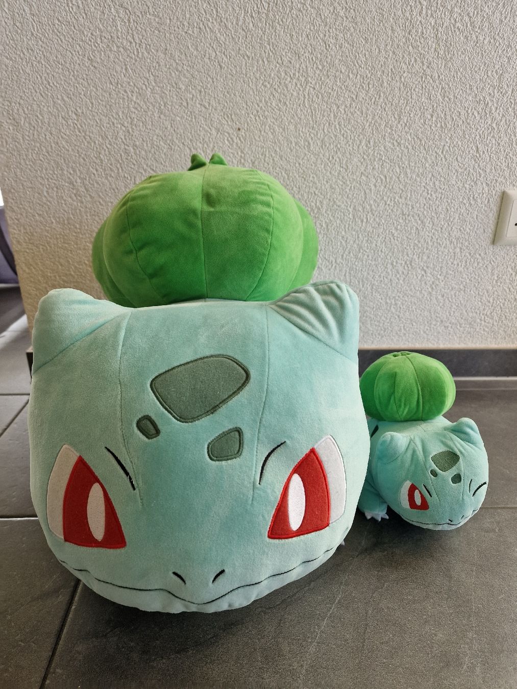 Pokémon Giocattoli: Pokemon Bisasam Plüschtier Set – Usato da Koppigen venduto da Kellerfundsachen