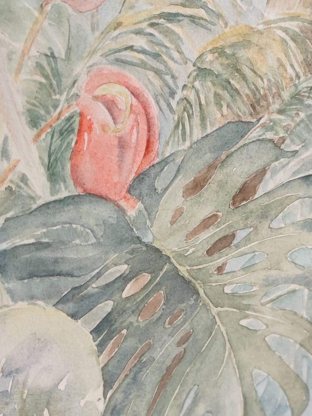 Dipinti: Original Aquarell Papageien - Marlene Peter – Usato da Birr venduto da DisDas 2