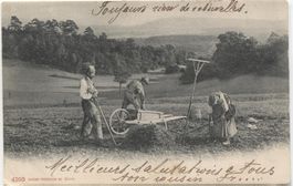 Landwirtschaft/Ackerbau 1904 AUENSTEIN AG Tällimatt