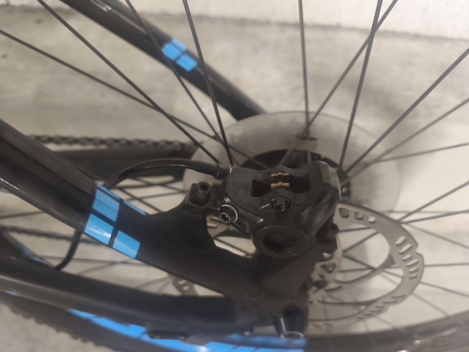 Focus Biciclette: Focus Bolt E-Bike Black Blue Grösse M  – Difettoso da Oberurnen venduto da Schneidi79 5