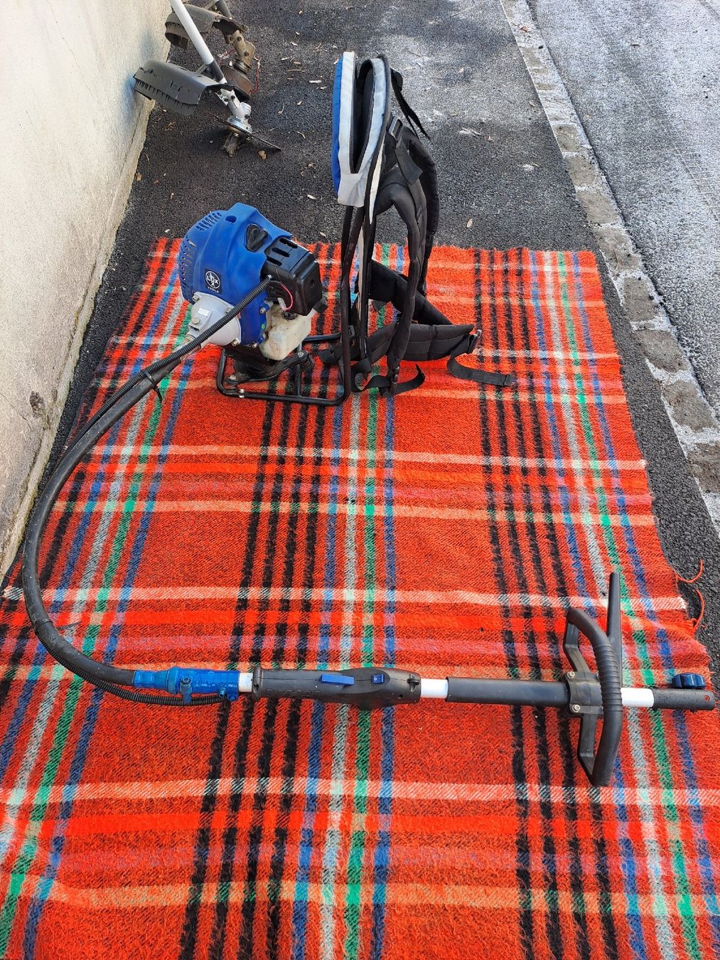 Lux Tutti gli attrezzi: LUX Tools Benzin Rasentrimmer – Usato da Uster venduto da PierGiak 7