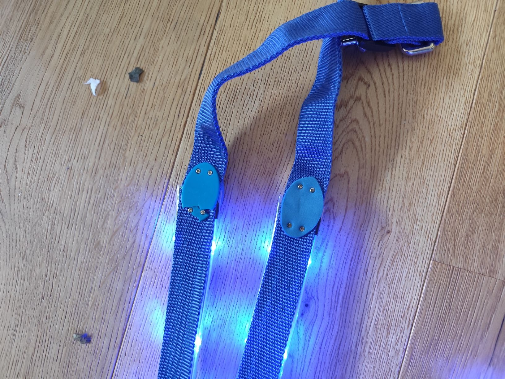 Brides, licols: Pony LED Vorgeschirr  – Défectueux à Kerzers par sb_12 2