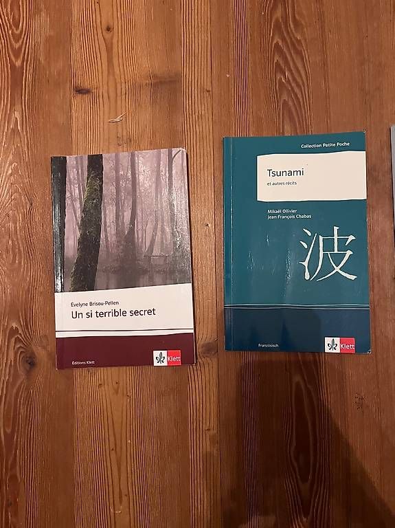 Libri: Diverse Klett Schulbücher – Usato da Winterthur venduto da and_m82w 1
