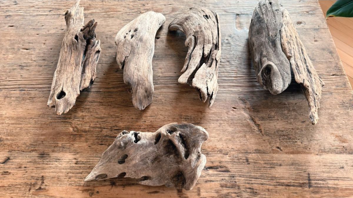 Articoli in legno: Treibholz als Wandlampe – Usato da Solothurn venduto da TomBananaJoe