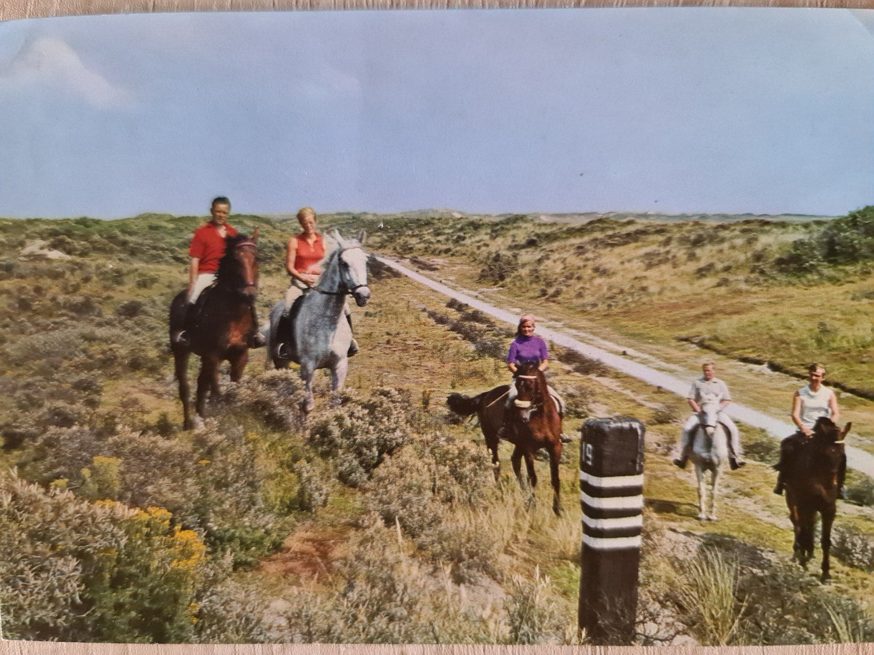 Cartoline postali: Ansichtskarte Groeten Niederlande – Usato da Dintikon venduto da Vexi
