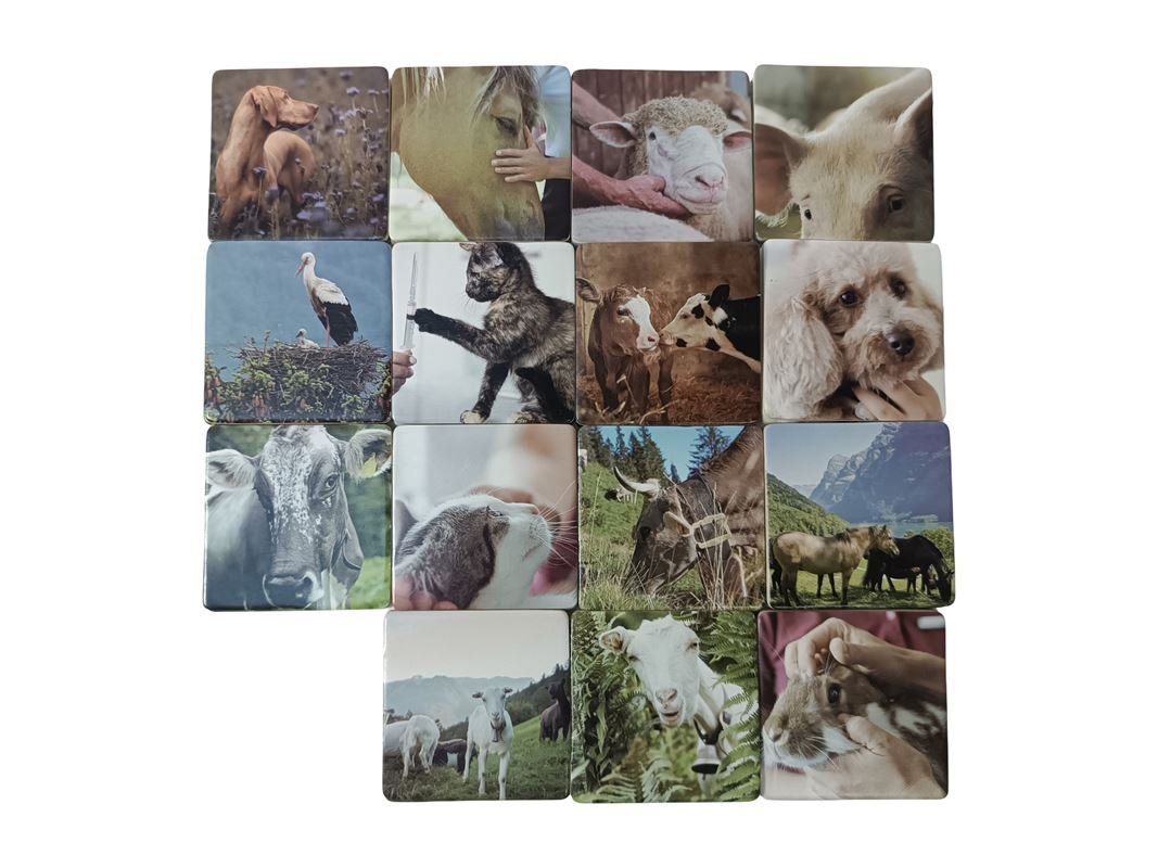 Giochi: STREULI TIERGESUNDHEIT Memory – Usato da Luzern venduto da Restwert_Luzern 4