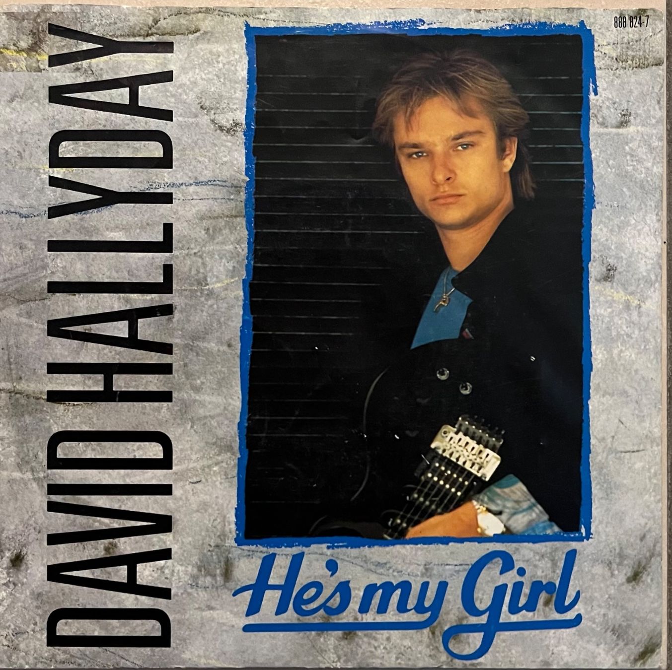 Dischi in vinile: DAVID HALLYDAY - HE'S MY GIRL – Usato da Bussigny venduto da vinyl-pas-cher