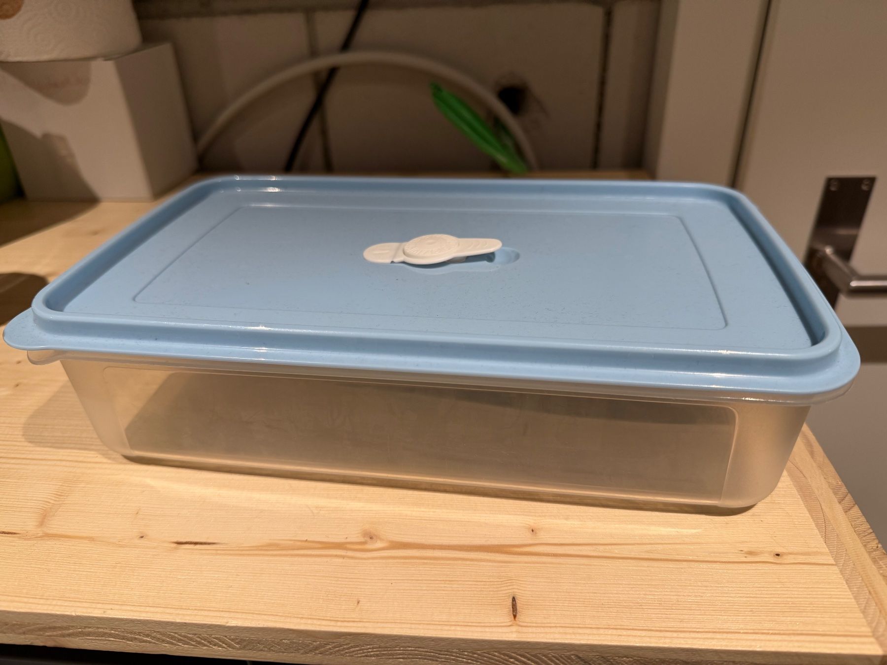 Contenitori & Simili: Plastikbehähleter Rechteckig Dose hellblauer Deckel – Usato da Schwadernau venduto da Daniela_0811