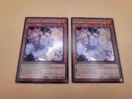 Yu-Gi-Oh! Karte: Aschenblüte & Freudiger Frühling!