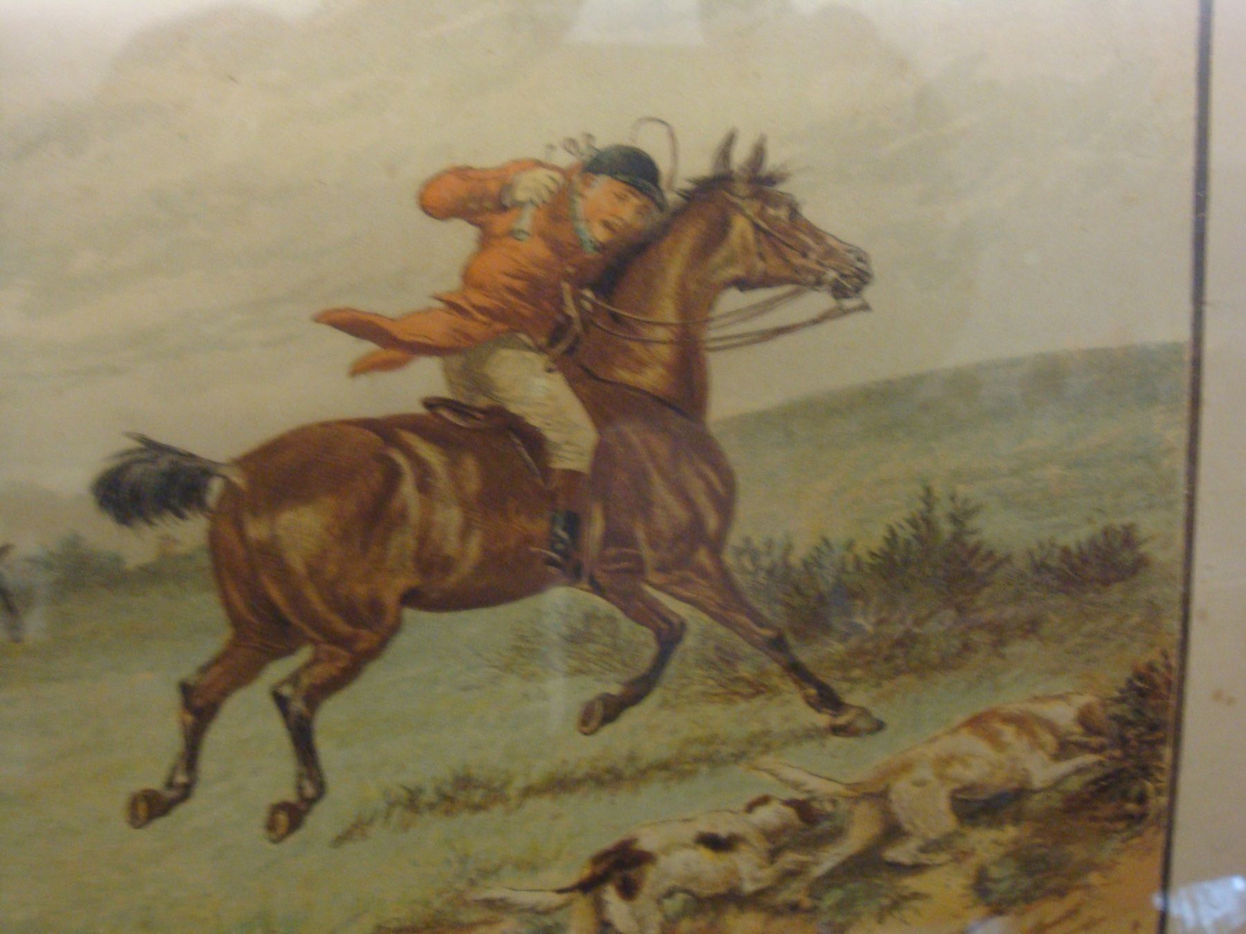 Poster & Bilder: 4 Farblithos aus England, 1880er Jahre – Gebraucht aus häusernmoos von buc_8ftk 8