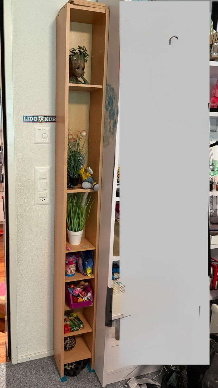 Ikea Scaffali: Billy /gnedby Regal – Usato da Rapperswil SG venduto da mischelly