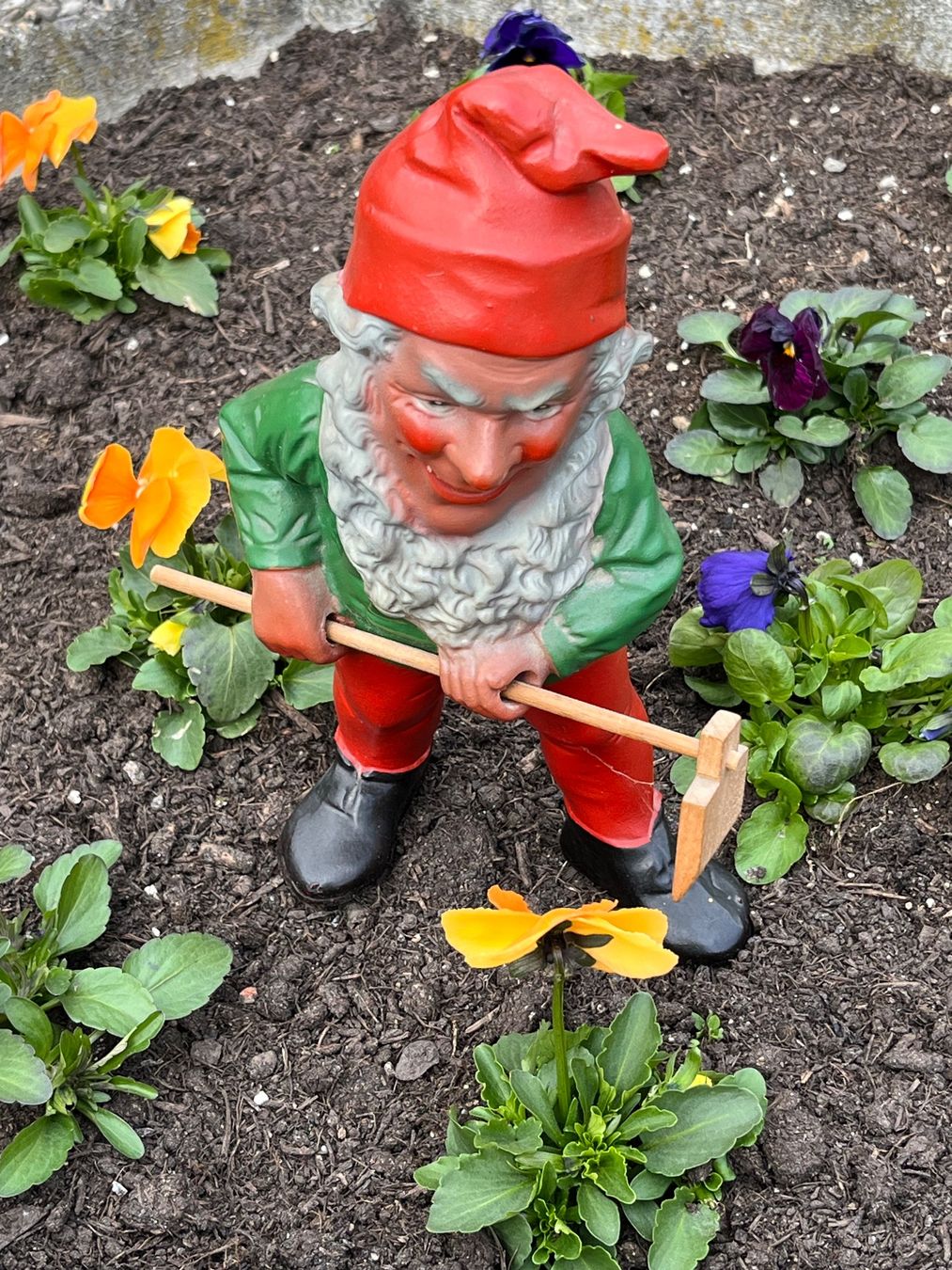 Statuette: Alter Gartenzwerg – Usato da Kandergrund venduto da honey-art_and_more 6