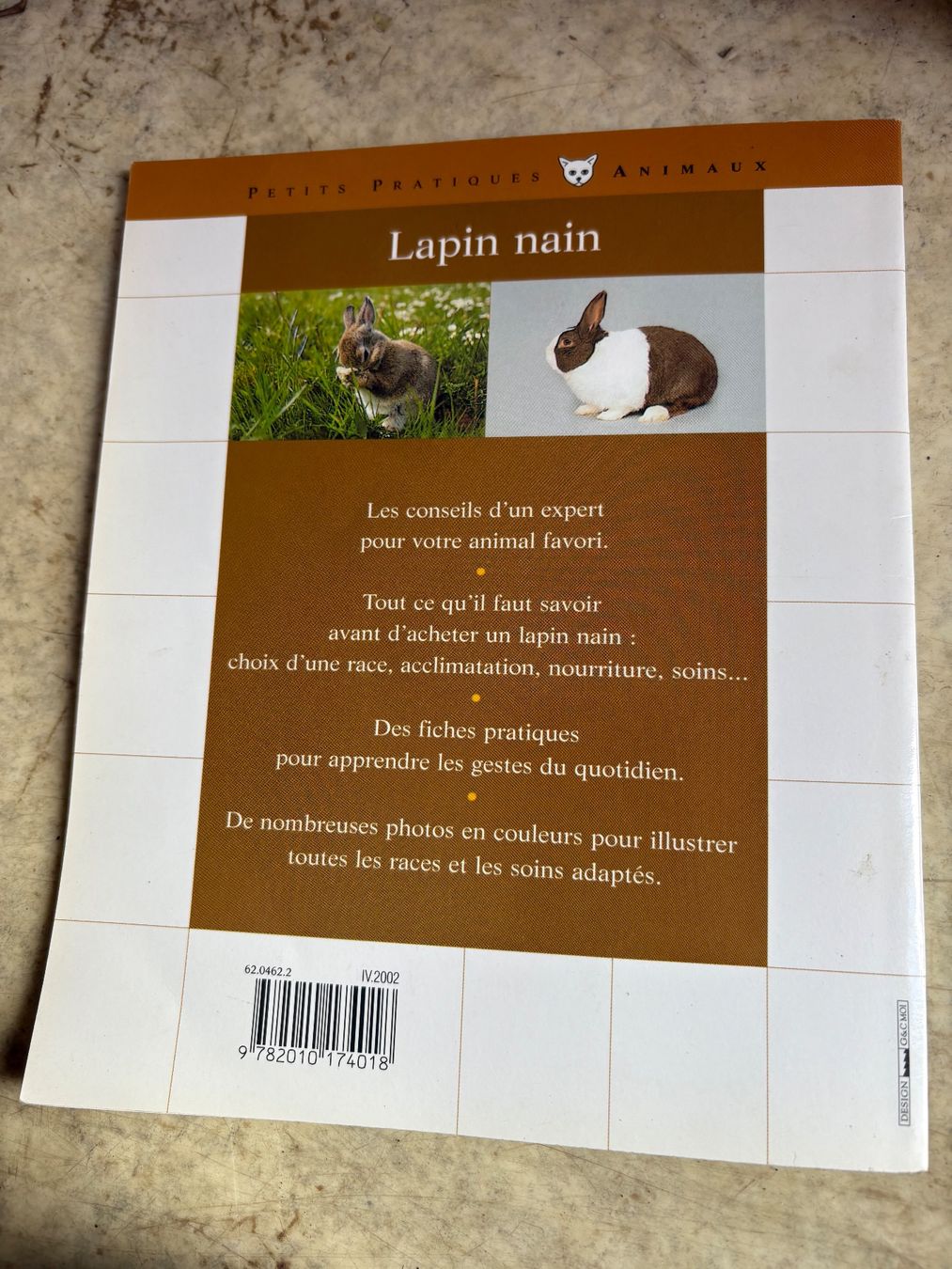 Libri: Livre lapin nain – Usato da Grône venduto da natatou 1