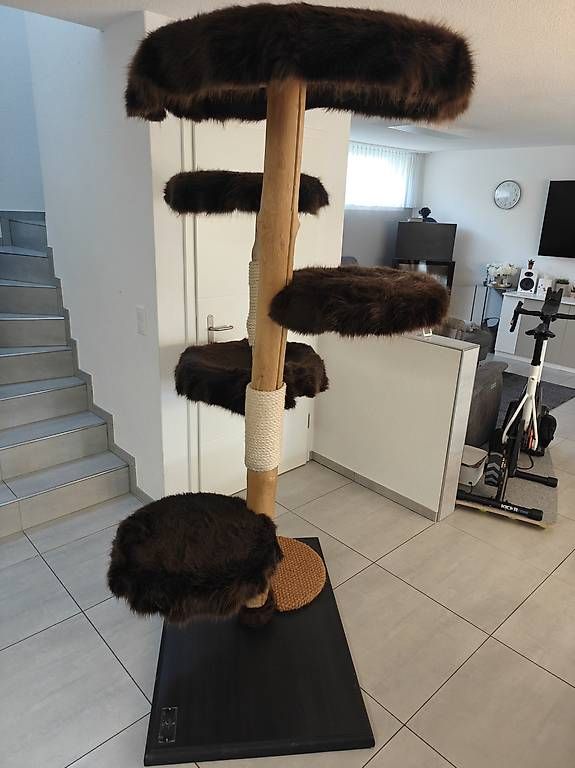 Tiragraffi: Katzenbaum – Usato da Othmarsingen venduto da MrQuicker 3