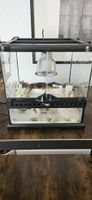 Exo Terra Terrarium 30x30x30 mit Lampe