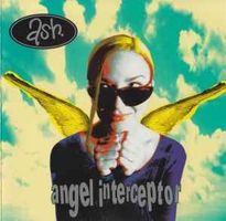 Ash ‎– Angel Interceptor