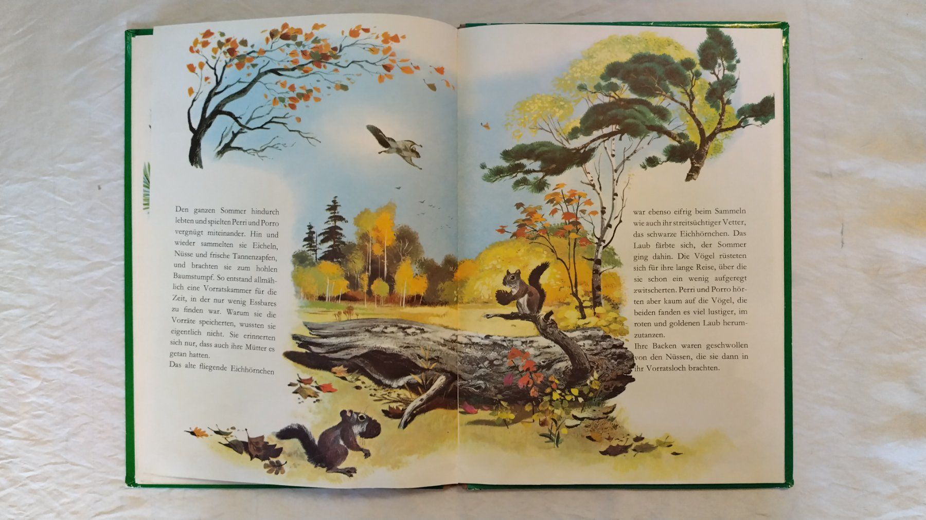 Libri: Walt Disney / Eichhörnchen Perri's Abenteuer / Bilderbuch – Usato da Bellach venduto da JingleJerry 5