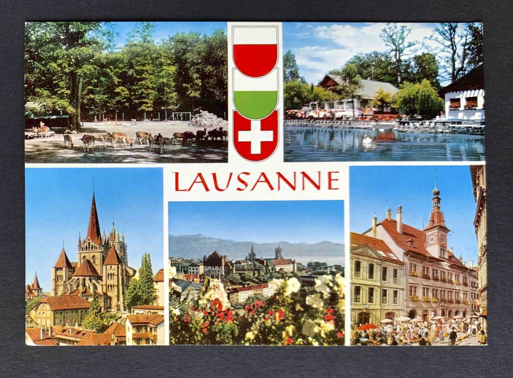 Cartoline postali: AK Lausanne – Usato da Goldau venduto da artelier1