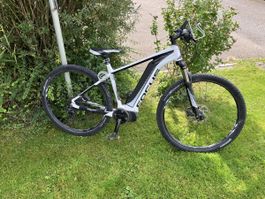 Focus E-Bike für Damen