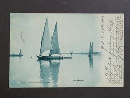 1903, Postkarte vom Genfersee mit Boote n nach Bern
