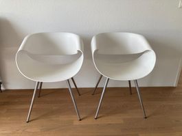 Züco Design Stühle 2er Set "Little Perillo"