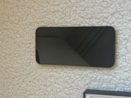 Iphone 12 Pro Max Gold 128 GB sehr guter Zustand