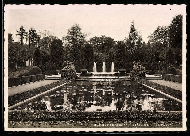 Cartoline postali: AK Bern, Rosengarten mit Teich und Springbrunnen – Usato da Berlin venduto da bartko-reher
