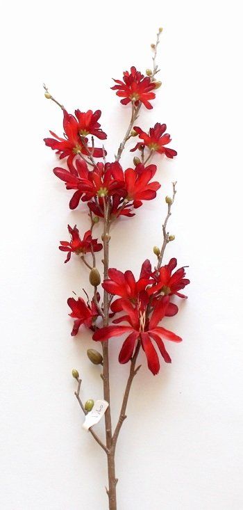 Tutte le decorazioni: Blütenzweig rot – Nuovo (secondo la descrizione) da Schlatt TG venduto da kreativ-atelier