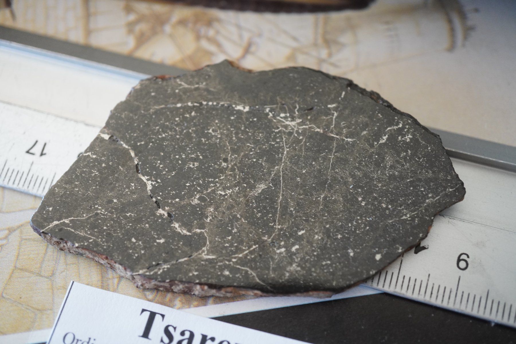 Mineralien & Heilsteine: Tsarev Meteoriten  32g    Scheibe – Neu und originalverpackt aus Eschenbach SG von topstone