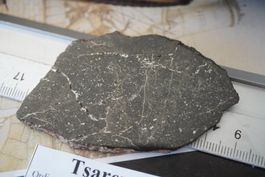 Tsarev Meteoriten  32g    Scheibe