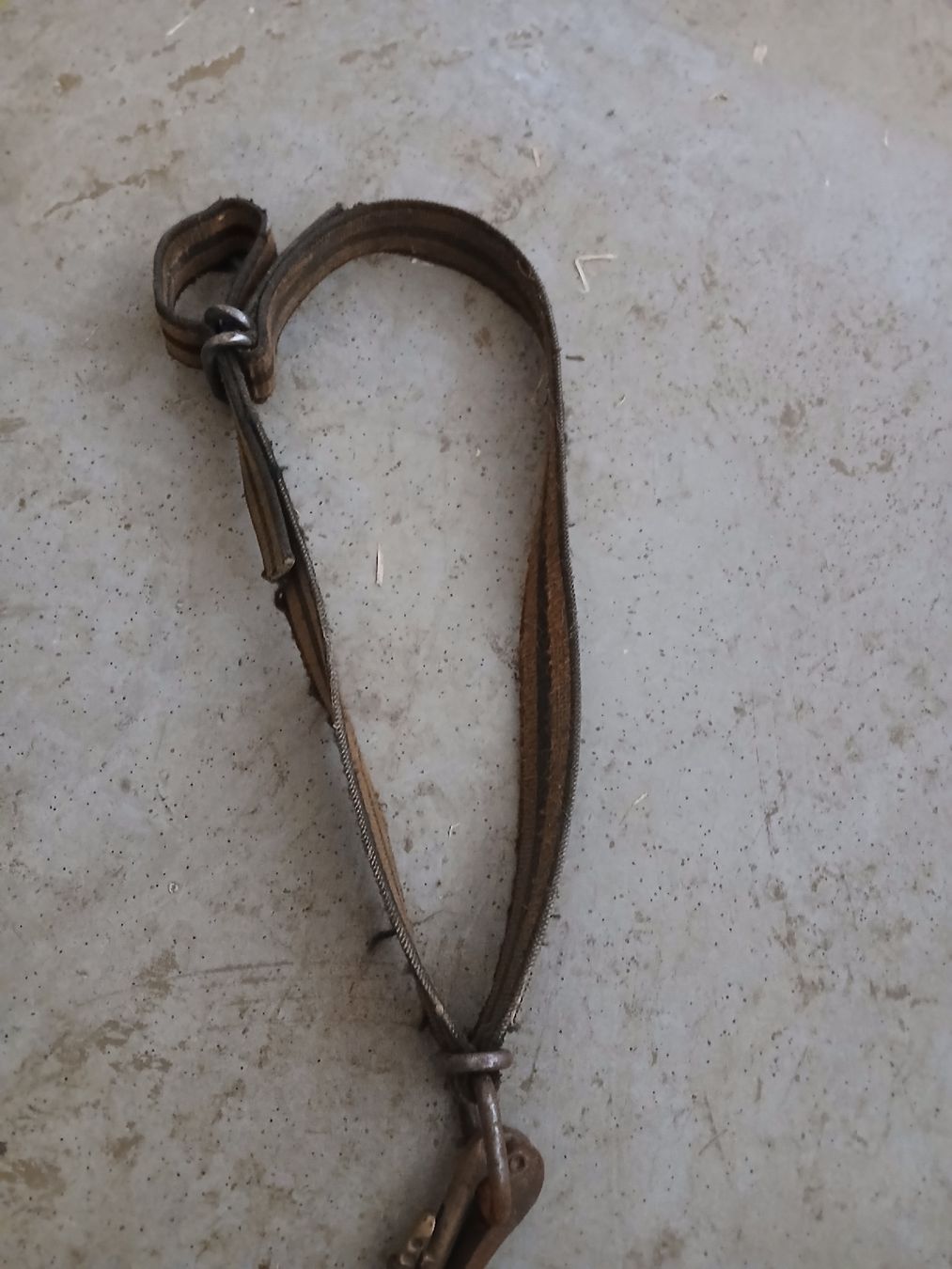 Fixations: Anbindung für Kühe – D'occasion à Illgau par Fish91 1