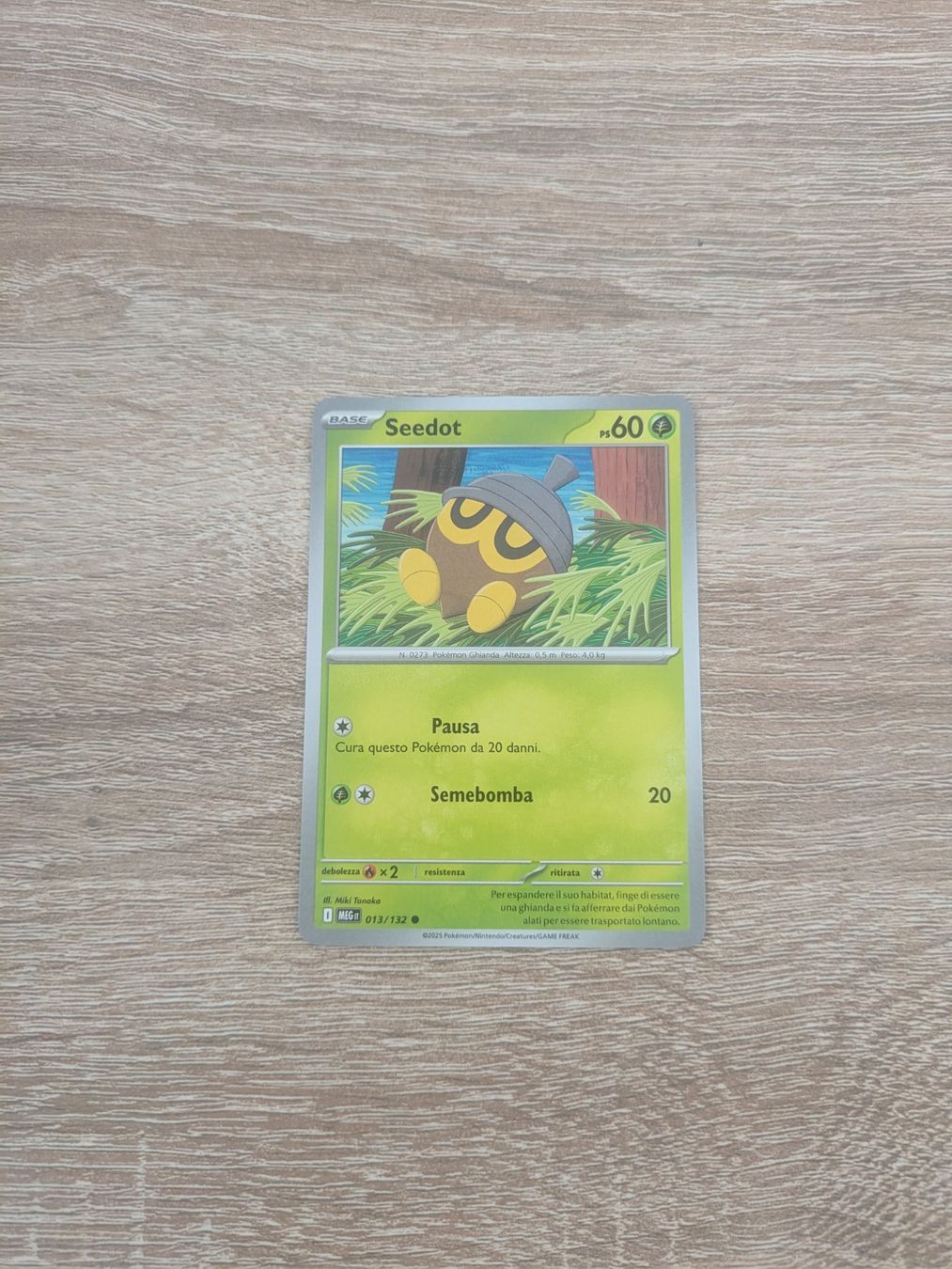 Pokémon Carte collezionabili: SEEDOT, MEGA EVOLUTIONS, MEG 13, COM, 2025, ITA, NM/MT – Usato da Losone venduto da AlpineLayer