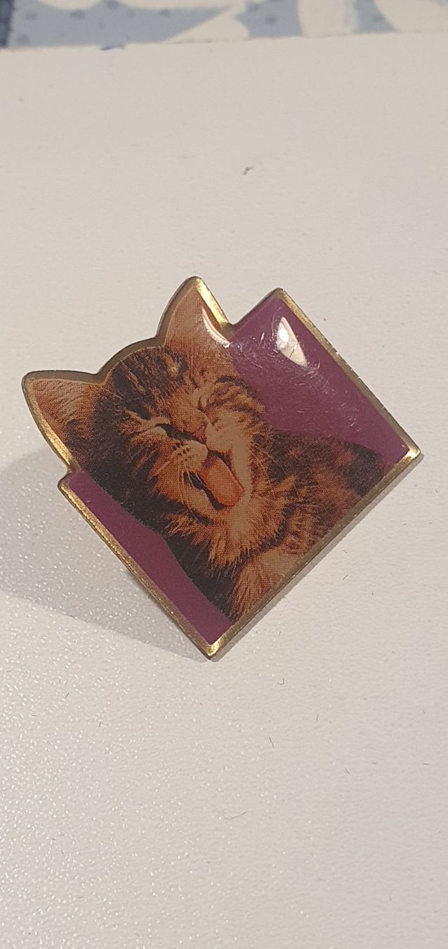 Plaketten & Abzeichen: Pin's Chat Whiscas – Gebraucht aus St-Barthélemy VD von titeuf5 2