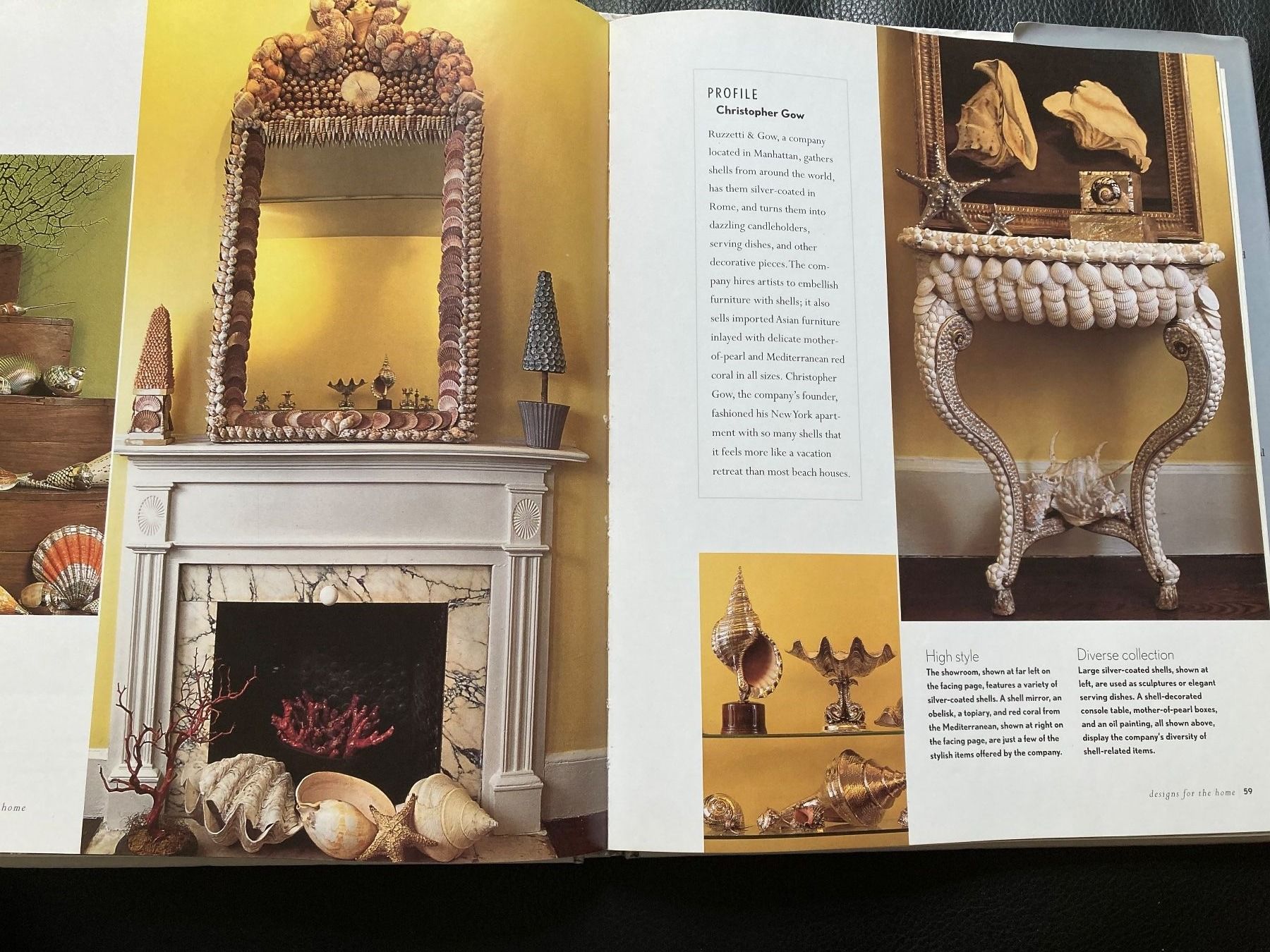 Libri: Shell Chic: Ultimate Guide to Decorating Your Home w. Shells – Usato da Zürich venduto da kostbares 9