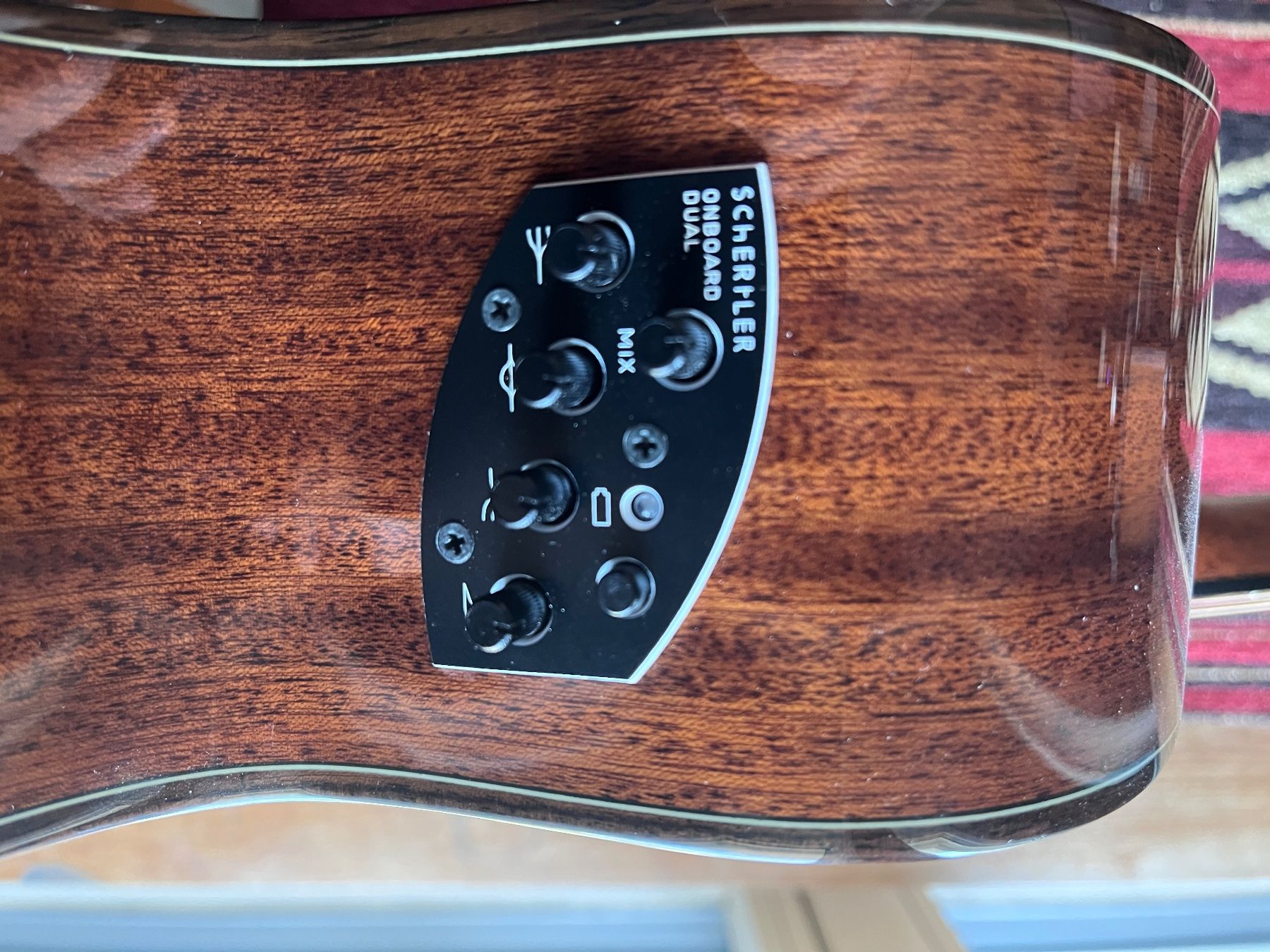 Schertler Strumenti musicali: Schertler guitar/Steels strings – Usato da Villars-sur-Glâne venduto da Claziko16 2