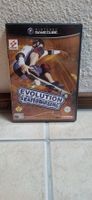 Gamecube Spiel - Evolution Skateboarding