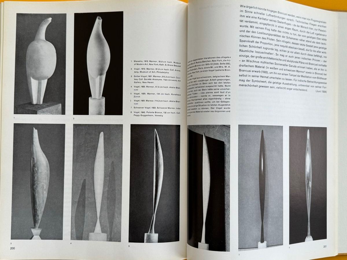 Libri: Constantin Brancusi. Monographie 1958. – Usato da Adliswil venduto da buch_und_kunst 8