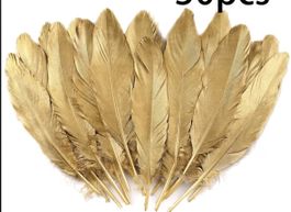 Federn Gans Gold Ostern Frühjahr 15-25 cm neu bestellen
