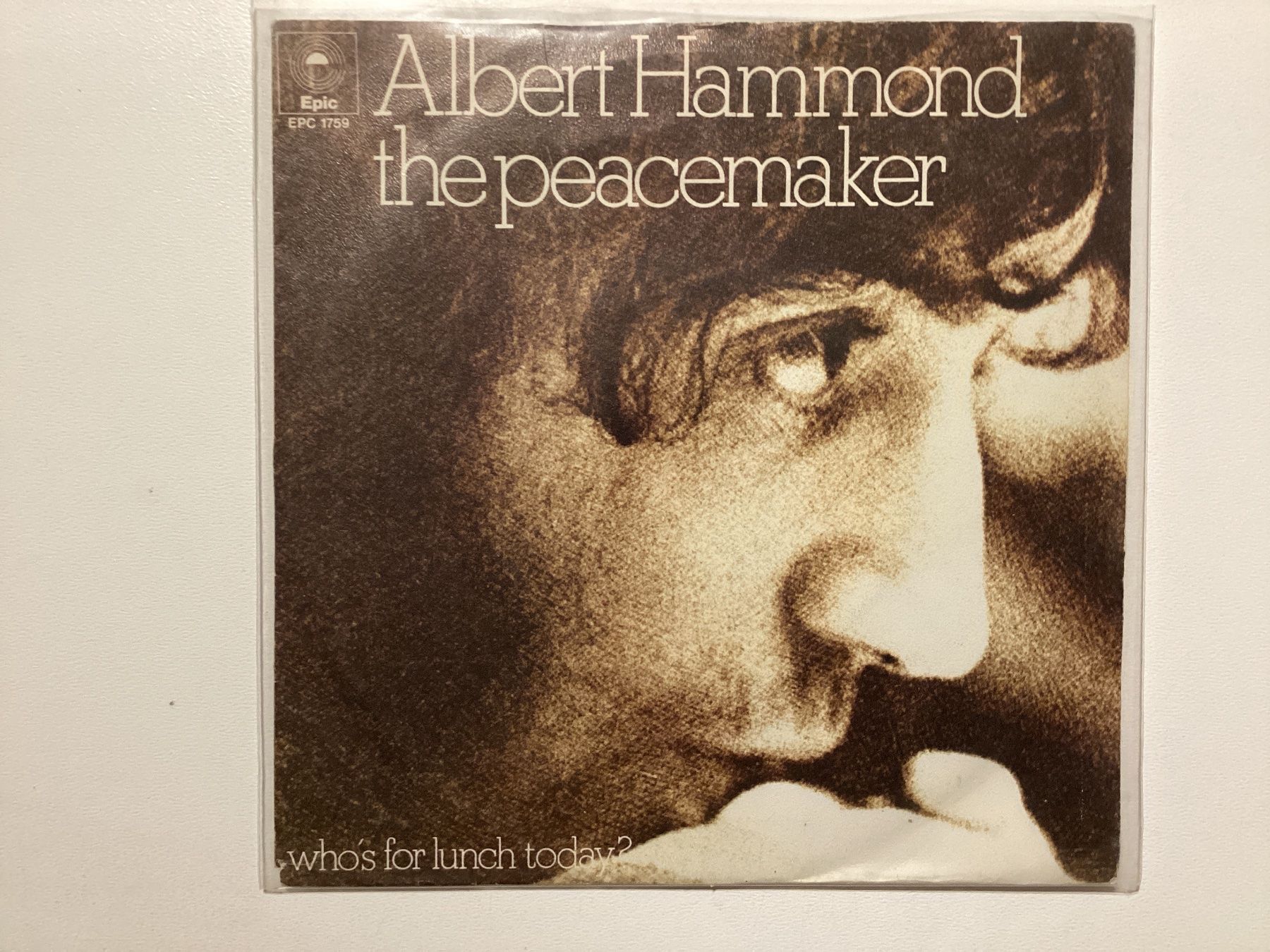 Dischi in vinile: Albert Hammond Single - Peacemaker / Who’s For Lunch Today – Usato da Gutenswil venduto da Hamzian